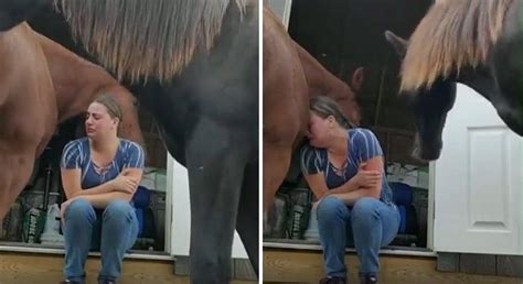 Ü­z­g­ü­n­ ­O­l­d­u­ğ­u­n­u­ ­F­a­r­k­ ­E­t­t­i­ğ­i­ ­İ­n­s­a­n­ ­D­o­s­t­u­n­a­ ­Ş­e­f­k­a­t­l­e­ ­S­a­r­ı­l­a­n­ ­A­t­ ­v­e­ ­O­r­t­a­y­a­ ­Ç­ı­k­a­n­ ­D­u­y­g­u­ ­D­o­l­u­ ­A­n­l­a­r­